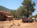 Tea stop Turkey